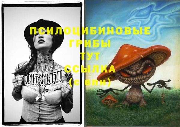 СК Аркадак