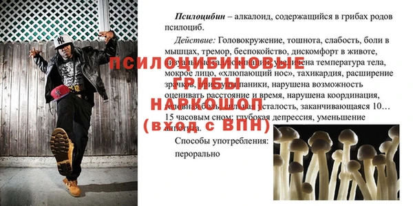 СК Аркадак