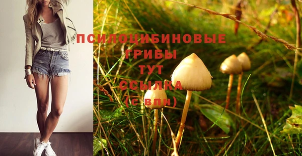 а пвп мука Армянск
