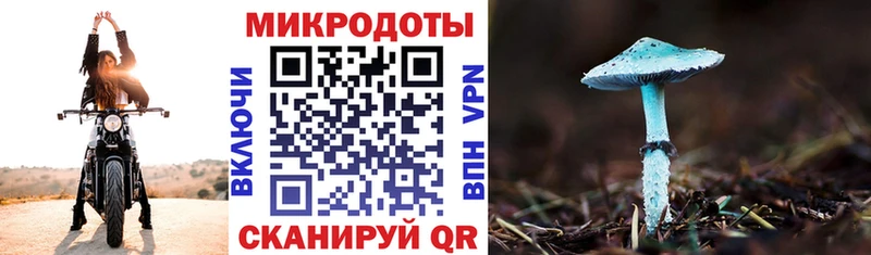 Псилоцибиновые грибы ЛСД Туринск